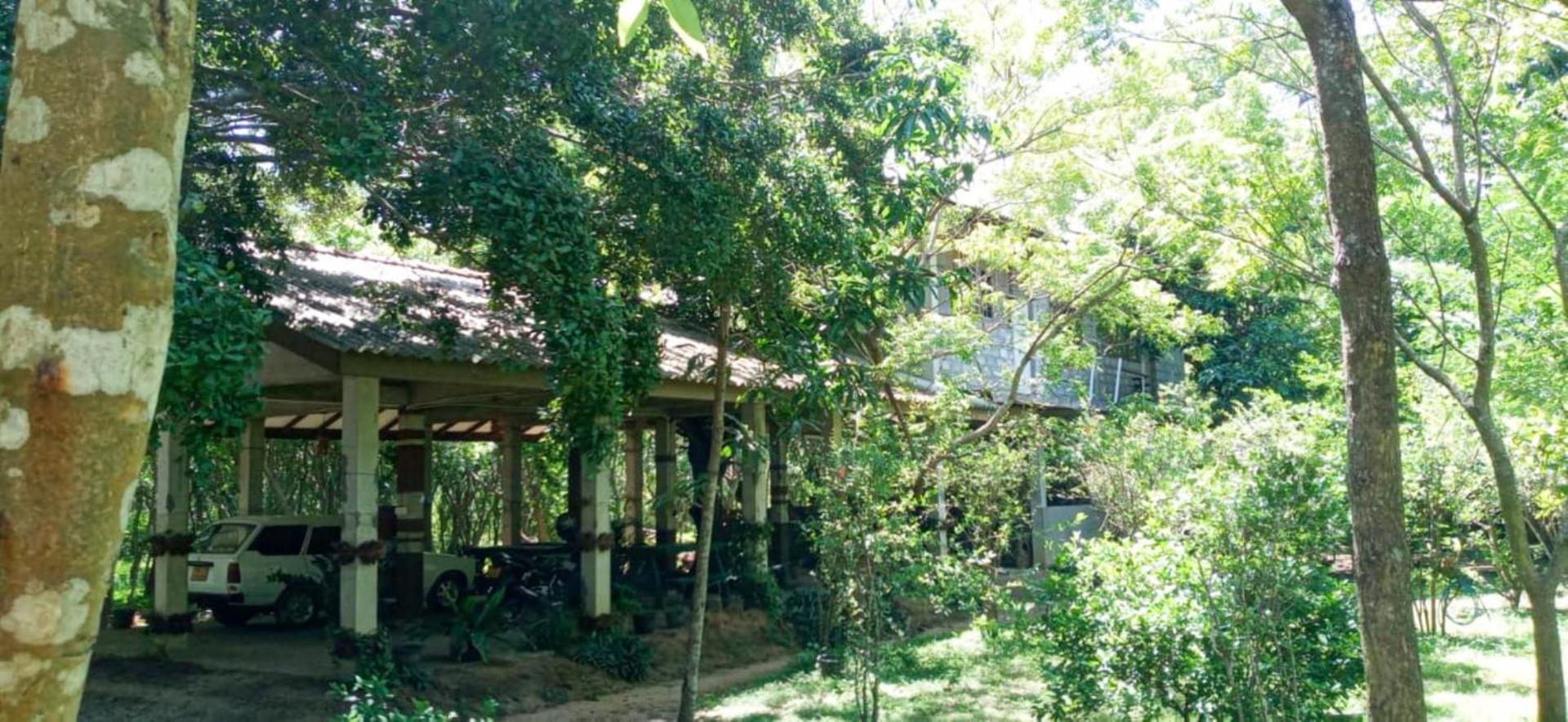 Lavish Eco Jungle Hotel Tissamaharama Exterior foto