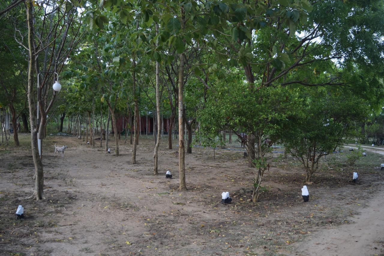 Lavish Eco Jungle Hotel Tissamaharama Exterior foto